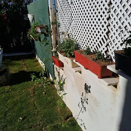 Sea View W Garden 50m To Sarimsakli