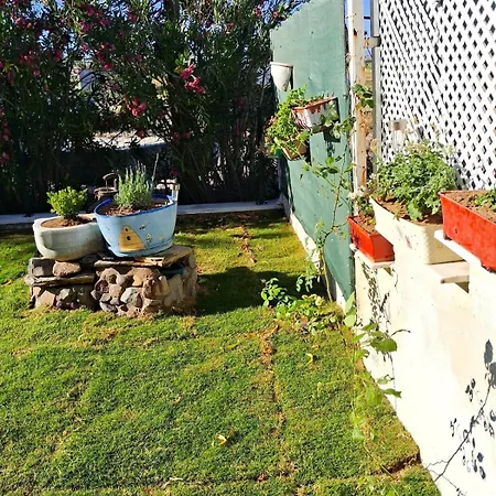 Апартаменты Sea View W Garden 50m To Sarimsakli *