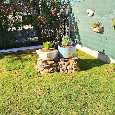 Sea View W Garden 50m To Sarimsakli Апартаменты Айвалык